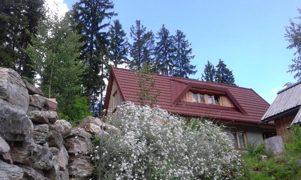 Guesthouse Planinski Dom Majerhold 솔차바 외부 사진