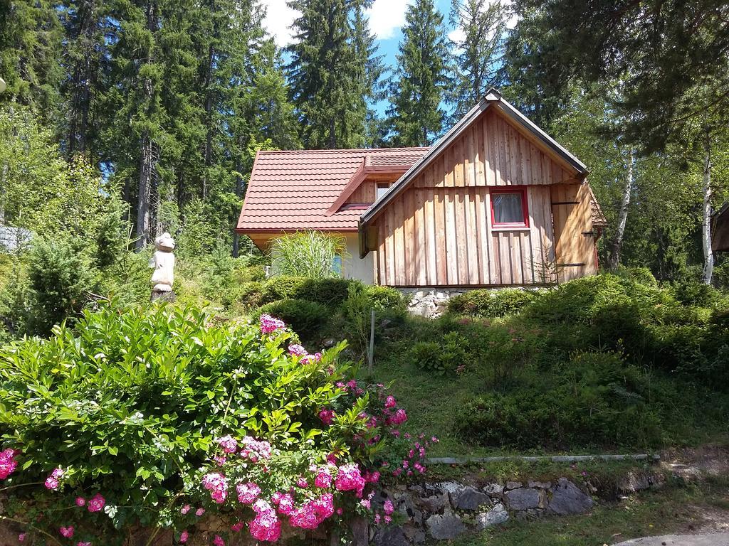 Guesthouse Planinski Dom Majerhold 솔차바 외부 사진